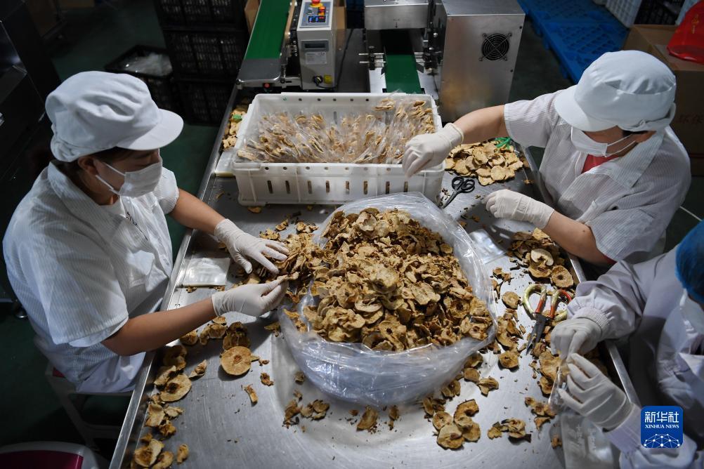 宝马游戏游戏平台网址